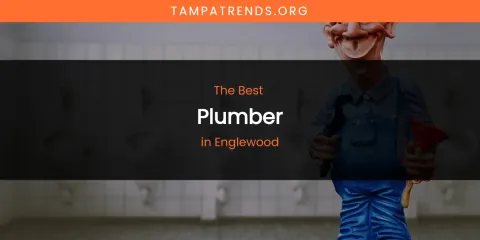 The Absolute Best Plumber in Englewood