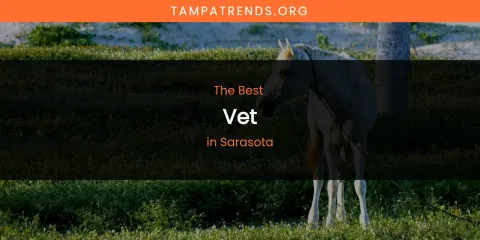 Sarasota's Best Vet
