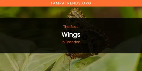 The Absolute Best Wings in Brandon